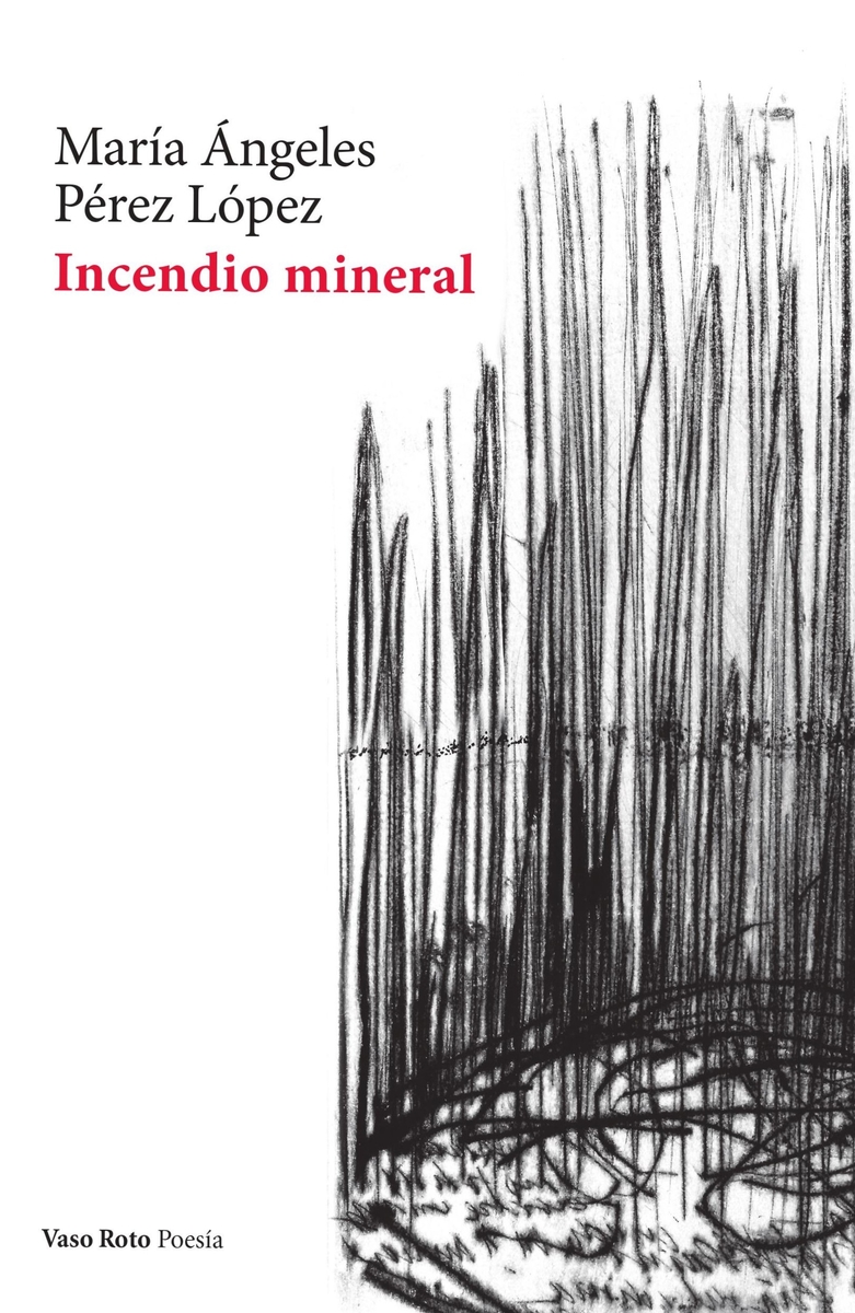 Incendio mineral (2ª ED): portada