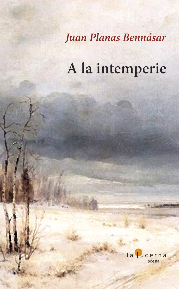 A LA INTEMPERIE: portada