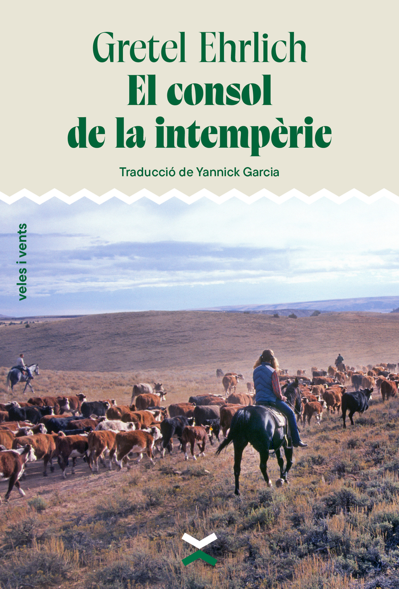 El consol de la intempèrie: portada