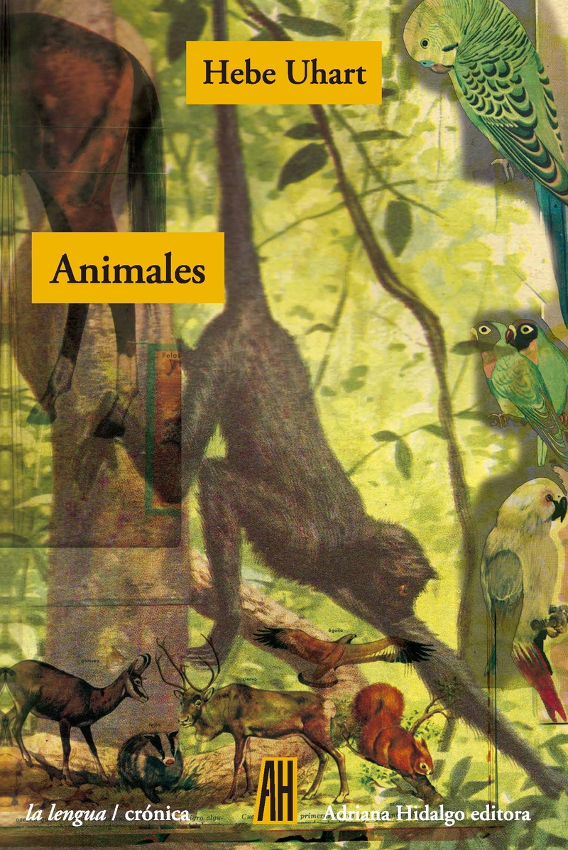 ANIMALES: portada